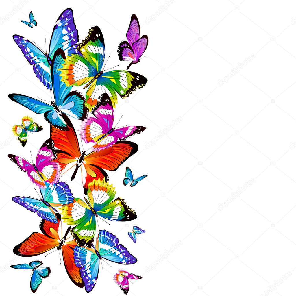 Bright colorful butterflies isolated on white background