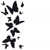 černá silueta motýlů izolovaných na bílém pozadí