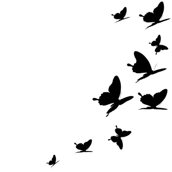 Silhouette Noire Papillons Isolés Sur Fond Blanc — Image vectorielle