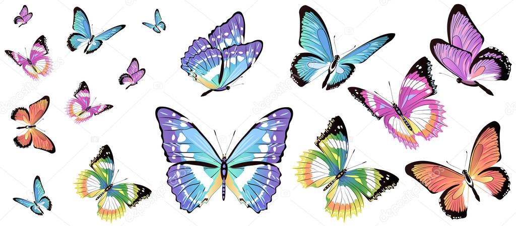 Bright colorful butterflies isolated on white background