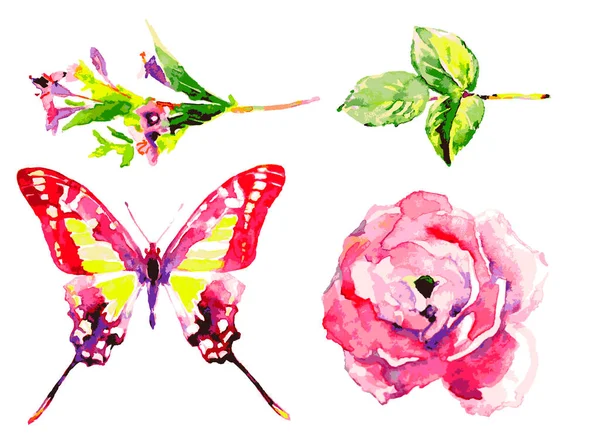 Motif Avec Papillon Fleurs Tropicales Isolé Sur Fond Blanc — Image vectorielle