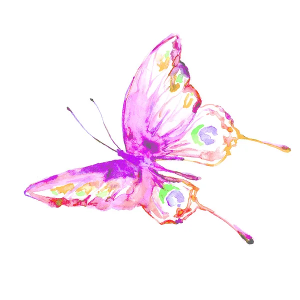 Krásný Akvarel Motýl Izolované Bílém Pozadí — Stock fotografie