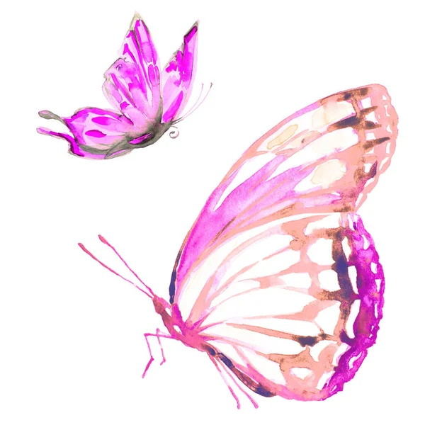 明亮的五彩斑斓的蝴蝶在白色背景上独立飞翔 春意盎然 — 图库照片