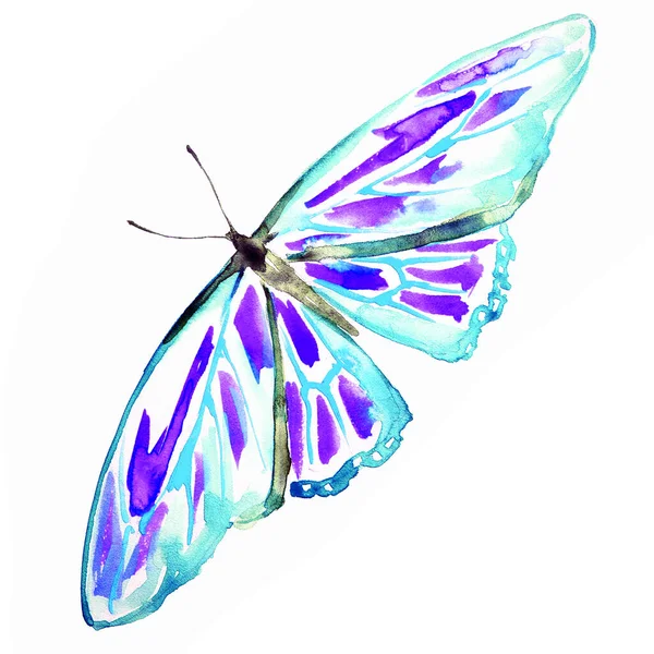 Piękny Akwarela Motyl Izolowane Białym Tle — Zdjęcie stockowe