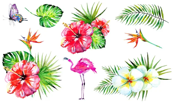 Узор Пальмовыми Листьями Тропическими Цветами Бабочкой Фламинго Изолированы Белом Фоне — стоковое фото