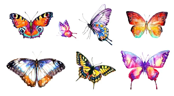 Papillons Colorés Lumineux Volant Isolé Sur Fond Blanc Concept Printemps — Photo