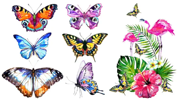 Farfalle Colorate Luminose Con Piante Tropicali Isolate Sfondo Bianco Concetto — Foto Stock