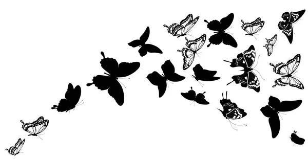 Conjunto Mariposas Negras Aisladas Sobre Fondo Blanco Concepto Verano — Vector de stock