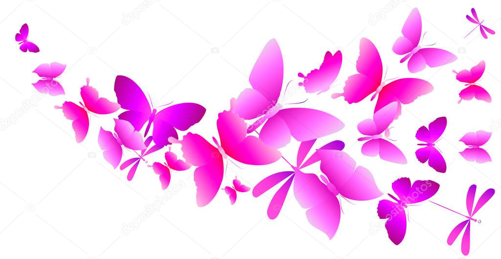 bright colorful butterflies flying isolated on white background, spring concept 