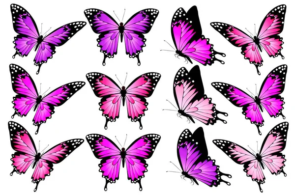 Papillons Colorés Lumineux Volant Isolé Sur Fond Blanc Concept Printemps — Photo