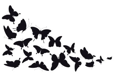 Beyaz arka planda izole edilmiş siyah kelebekler seti, yaz konsepti 