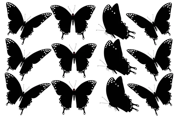 Ensemble Papillons Noirs Isolés Sur Fond Blanc Concept Été — Image vectorielle