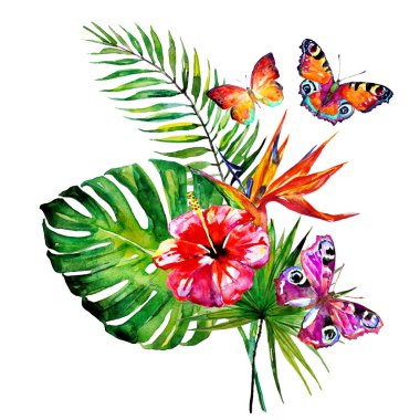 güzel çiçekler ve parlak renkli kelebekler beyaz arka planda yalıtılmış, bahar konsepti 