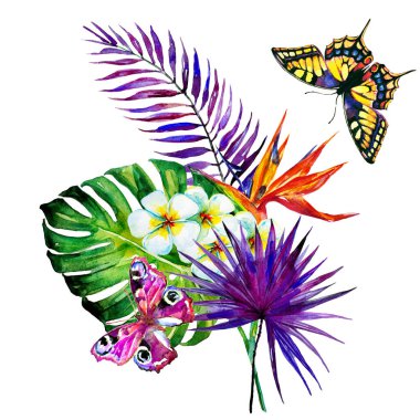 güzel çiçekler ve parlak renkli kelebekler beyaz arka planda yalıtılmış, bahar konsepti 