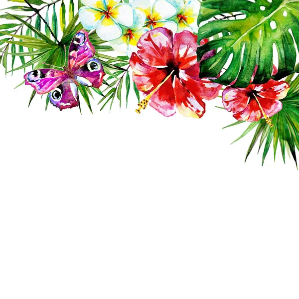 Красивый Цветок Яркие Красочные Бабочки Летят Изолированные Белом Фоне Весенняя — стоковое фото