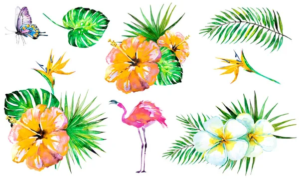 Flamingos Mit Schönen Blumen Und Hellen Bunten Schmetterling Isoliert Auf — Stockfoto