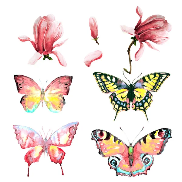 Schöne Blumen Und Leuchtend Bunte Schmetterlinge Fliegen Isoliert Auf Weißem — Stockfoto