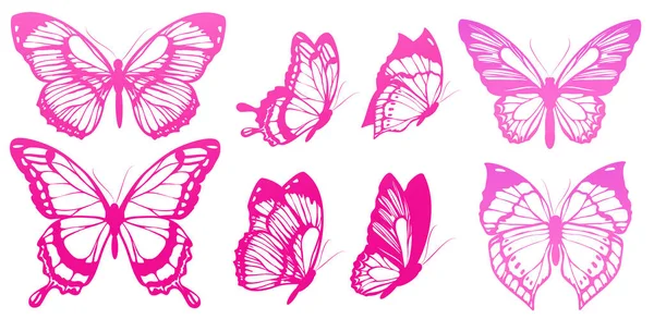Яркие Красочные Бабочки Летят Изолированные Белом Фоне Весенняя Концепция — стоковое фото