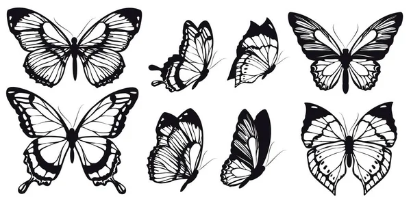 Set Black Butterflies Isolated White Background Summer Concept — Stock Vector