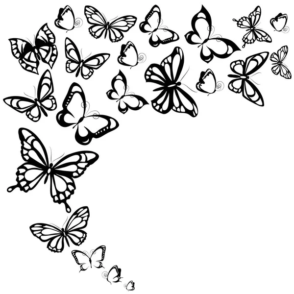 Conjunto Mariposas Negras Aisladas Sobre Fondo Blanco Concepto Verano — Vector de stock