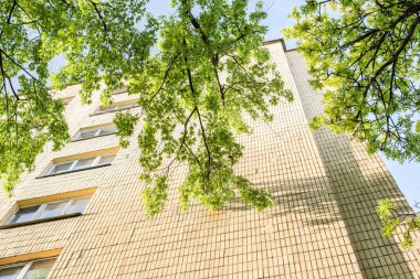 Güneş ışığında sarı bir evin yanında yeşil bir ağaç duruyor. Evin üzerine bir gölge düşüyor.