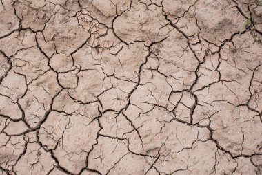 Kurumuş çamur dokusu. Kurumuş alan