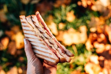 Bir kadının elinde sandviç.