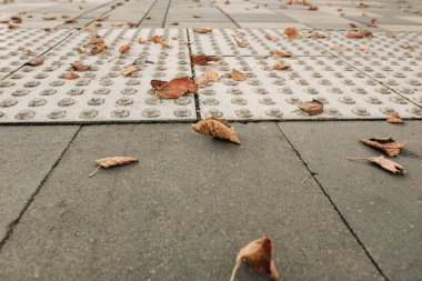 Sonbahar yapraklarında dokunaklı asfalt döşemeler.