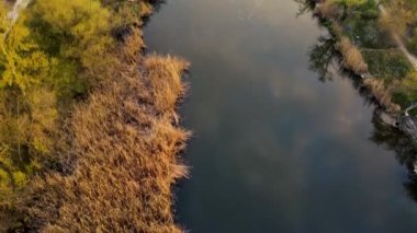 Sonbahar ağaçlarının ve nehrin üzerindeki kentsel alanın gün batımında altın saatinde havadan drone görüntüleri..