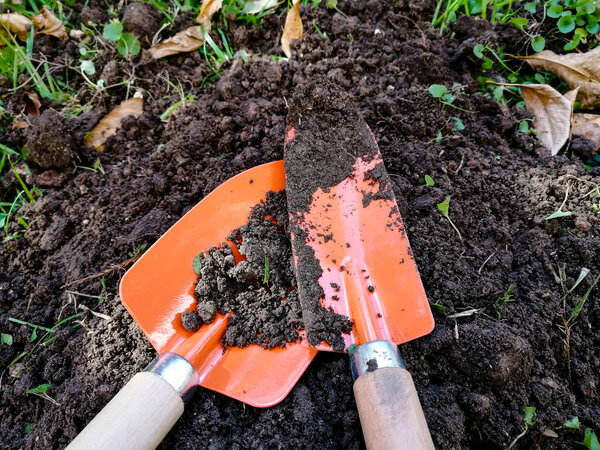Digging tools for the garden, two orange shovels in the grass 