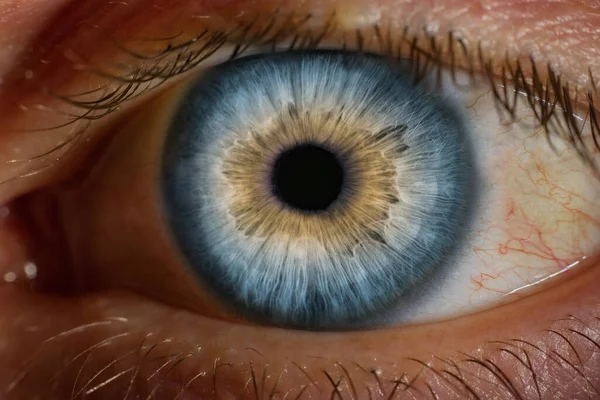 Macro close up image of human eye — Stock Photo, Image