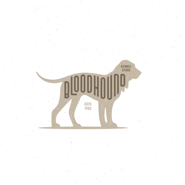 Bloodhound logosu — Stok Vektör