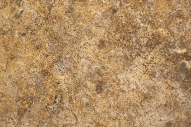 Orman taşının yapısı