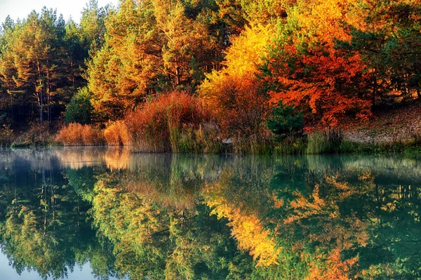 Herbstliche Waldspiegelungen Einem See — Stockfoto