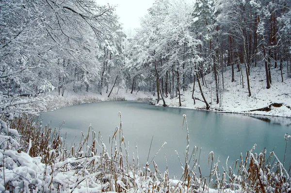 Frozen Forest Pond Blue — Stock Photo, Image