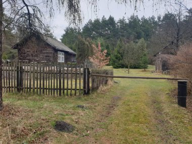 Ormanın ortasında terk edilmiş bir köy.