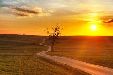 Güneş tarlaların arasında batıyor