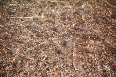 Deniz kabuğu sahili, deniz kabuğu kumsalında temiz su.