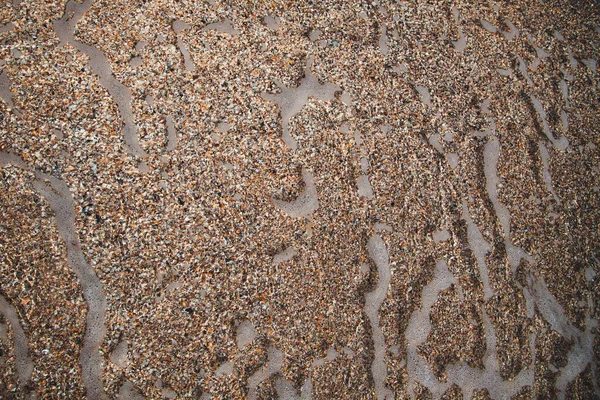 Spiaggia Conchiglie Acque Limpide Mare Spiaggia Conchiglie — Foto Stock