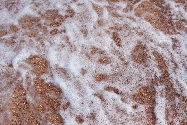 Spiaggia Conchiglie Acque Limpide Mare Spiaggia Conchiglie — Foto Stock