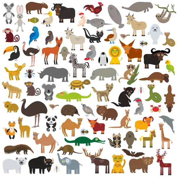 设置卡通动物从世界各地 澳大利亚 北美和南美 欧亚大陆 非洲孤立在白色背景上 向量例证 — 图库矢量图片