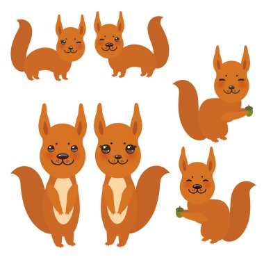 Komik kırmızı sincap beyaz arka plan üzerinde izole meşe palamudu ile kabarık kuyruklu kümesi. Vektör çizim