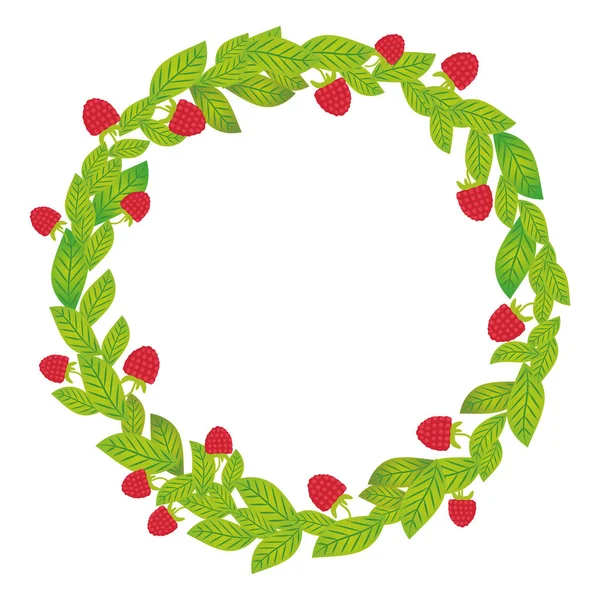 緑葉とラズベリー新鮮なジューシーな果実と白い背景で隔離の丸い花輪 ベクトル図 — ストックベクタ