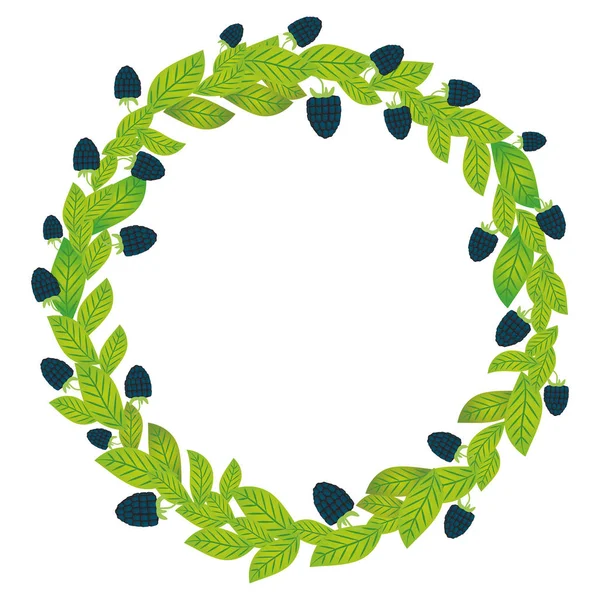 Круглый Венок Зелеными Листьями Ежевикой Свежие Сочные Ягоды Изолированы Белом — стоковый вектор