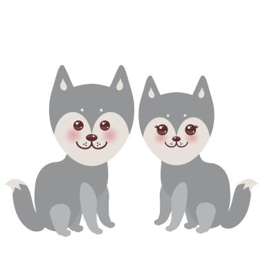 Kawaii komik gri husky köpek, büyük gözleri ve pembe yanakları, erkek ve beyaz arka plan üzerinde izole kız ile yüz. Vektör çizim