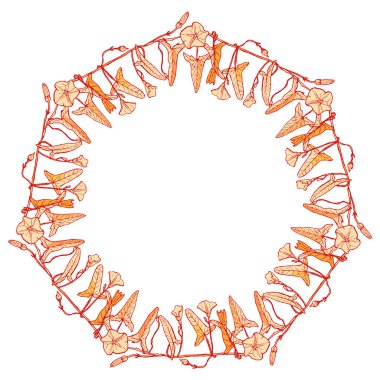 gündüzsefası çerçeve çiçek, pembe kırmızı beyaz arka plan üzerinde çizilmiş Bordo sınır çelenk için metin şube yaprakları tomurcukları ve çiçeklerle kontür. Vektör çizim
