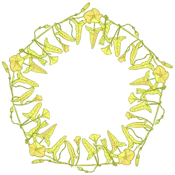 Branche Avec Feuilles Bourgeons Fleurs Bindweed Cadre Pentagonal Floral Couronne — Image vectorielle