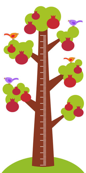 Big pomegranate tree with green leaves birds and ripe dark red garnet fruit on white background Children height meter wall sticker, kids measure. Vector illustration
