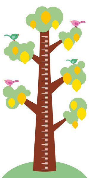 Big tree with green leaves birds and ripe yellow lemons on white background Children height meter wall sticker, kids measure. Vector illustration
