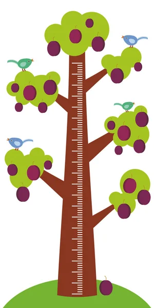 グリーンの大きな木は 白い背景の子供高さ計ウォール ステッカー 子供メジャーに鳥と熟した紫色のプラムを残します ベクトル図 — ストックベクタ